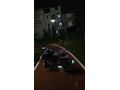 Sahibinden CFmoto 250NK