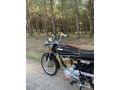 Sahibinden Kuba Çita 100R Gold 