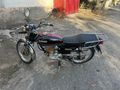Sahibinden Kuba Çita 100R Gold 