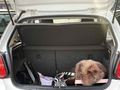 Sahibinden Volkswagen Polo 1.4 TDi Comfortline 2015 Model  239.000 km Beyaz
