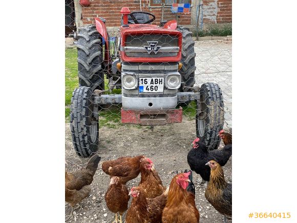 Sahibinden Massey Ferguson 148 