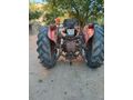 Sahibinden Massey Ferguson 135 Isparta