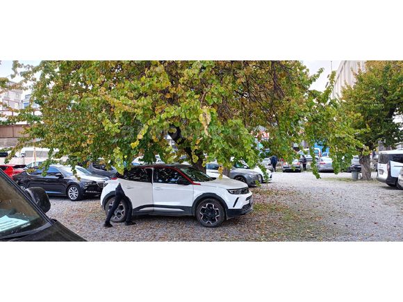 Sahibinden Opel Mokka-e Ultimate 2024 Model
