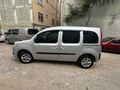 Temiz aile aracı