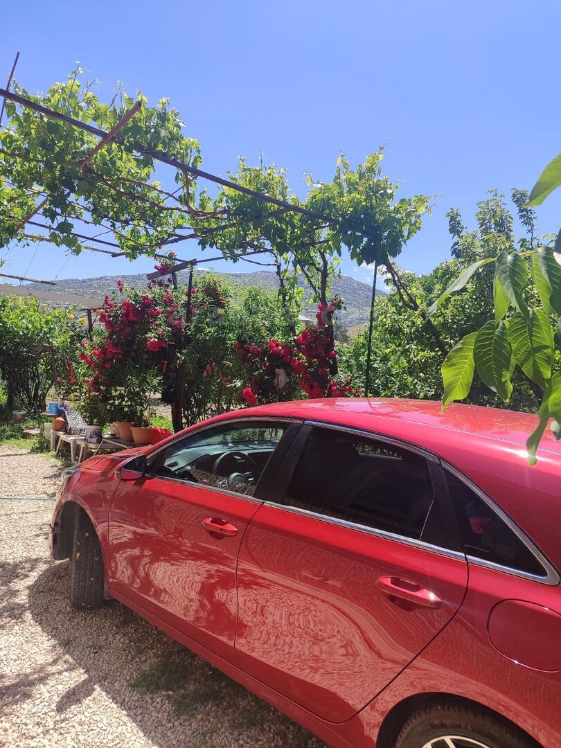 Sahibinden Kia Ceed 1.5 T-GDI Elegance Plus 2024 Model Antalya 24.500 km Kırmızı 1
