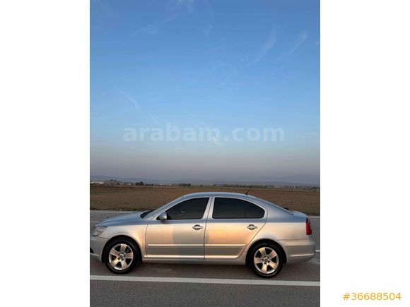Sahibinden Skoda Octavia 1.6 TDI Ambiente 2011 Model 