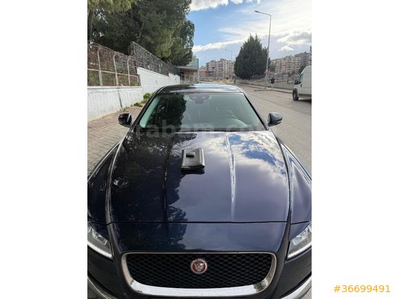 sahibinden temiz jaguar