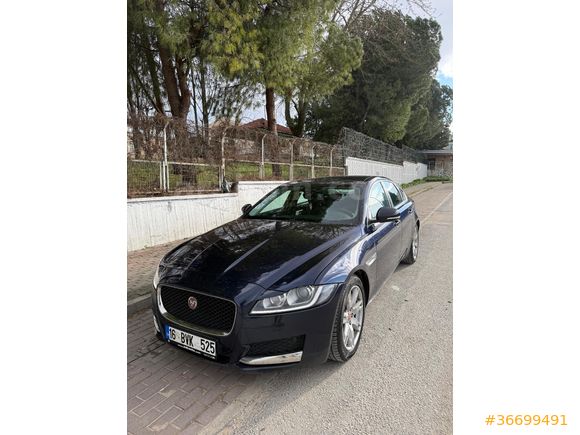 sahibinden temiz jaguar