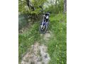 Sahibinden Yamaha YBR 125 