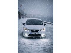 Sahibinden Seat Ibiza 1.2 TSI Style 2017 Model 