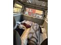 Sahibinden Ford Transit 100 V 1999 Model 