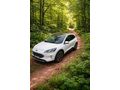 Sahibinden Ford Kuga 1.5 EcoBlue Titanium 2020 Model 
