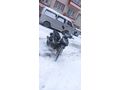 Sahibinden Kuba Easy Pro 50