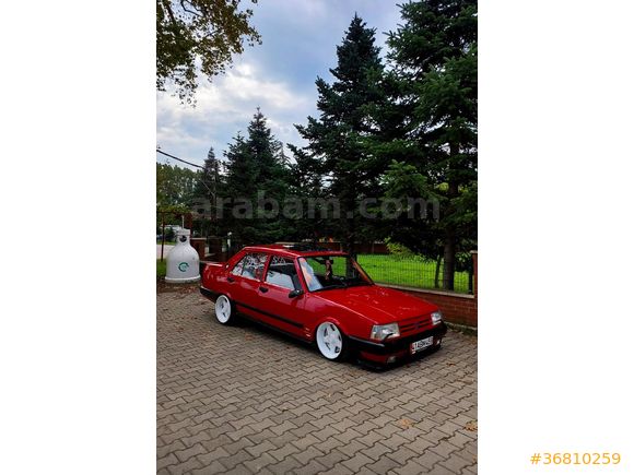 91 bebek şahin ilanda