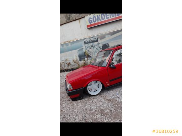 91 bebek şahin ilanda