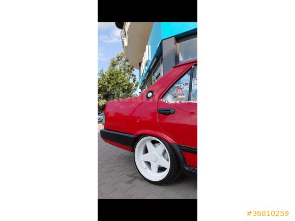 91 bebek şahin ilanda