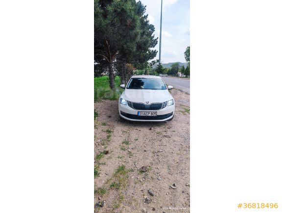 Sahibinden Skoda Octavia 1.6 TDI Optimal 2017 Model