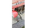 Sahibinden Massey Ferguson 135 