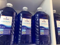 Oto Cam Suyu 3L