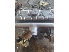 As 250 fındık motor buharsız