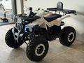 Sahibinden ATV & UTV Revolt RA5