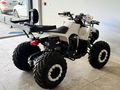 Sahibinden ATV & UTV Revolt RA5