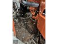 İLK SAHİBİNDEN 55 56 S ANTİKA