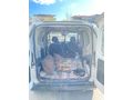 Sahibinden Fiat Fiorino Cargo 1.3 Multijet 2015 Model  290 km Beyaz