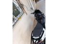 Sahibinden Kuba New light 125 cc