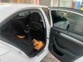 Sahibinden Skoda SuperB 1.6 TDI Style 2017 Model 
