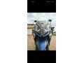 İlk Sahibinden Kymco Downtown 250i