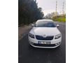 Sahibinden Skoda Octavia 1.2 TSI Optimal 2016 Model