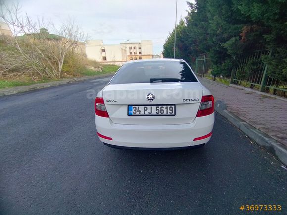 Sahibinden Skoda Octavia 1.2 TSI Optimal 2016 Model