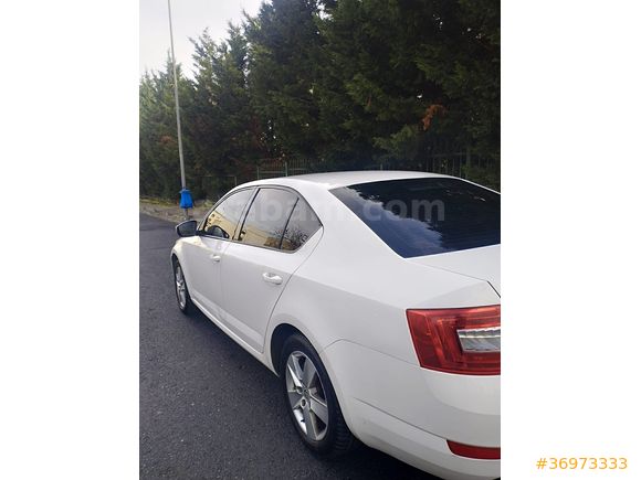 Sahibinden Skoda Octavia 1.2 TSI Optimal 2016 Model