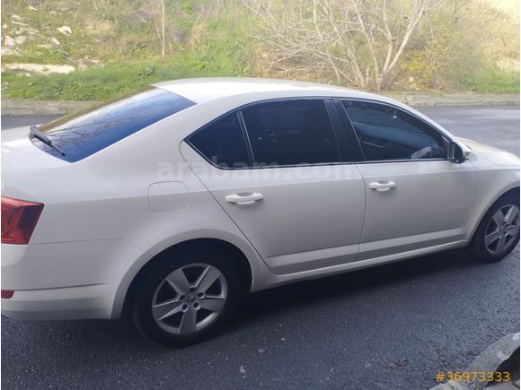 Sahibinden Skoda Octavia 1.2 TSI Optimal 2016 Model