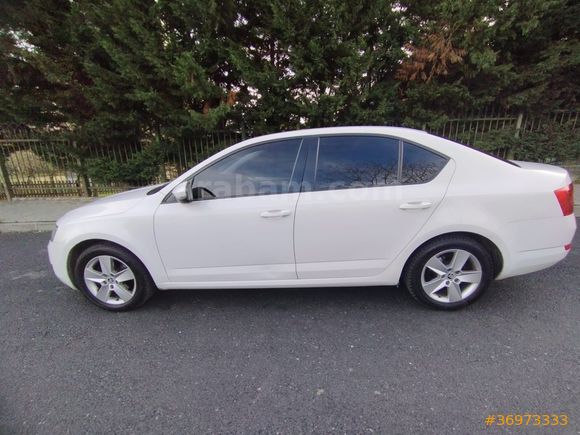 Sahibinden Skoda Octavia 1.2 TSI Optimal 2016 Model