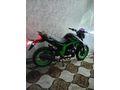 Sahibinden Arora Shark 125