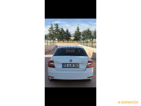 Sahibinden Skoda Octavia 1.6 TDI Optimal 2019 Model