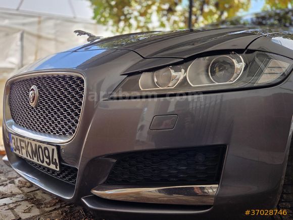 Sahibinden Jaguar XF 2.0 D Portfolio Plus 2015 Model