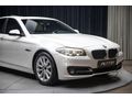 BAYİ 2016 520I EXECUTIVE PLUS  SUNROOF_VAKUM_E.BGJ_52.336KM