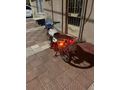 Sahibinden Kuba Çita 100 R