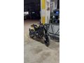 Sahibinden Benelli 125 S 