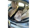 Sahibinden Ford Focus 1.6 TDCi Trend X 2013 Model