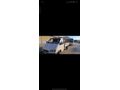 Sahibinden Ford Trucks Transit 190 P
