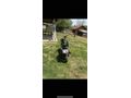 Sahibinden Mondial 125 Drift L CBS 