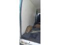 Sahibinden Ford Transit 330 S 2010 Model