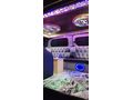 Hyundai h-1 VIP