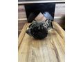 1.9 KANGO ŞARJ DİNAMOSU