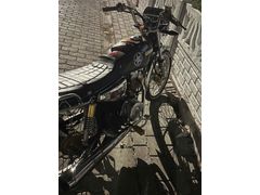Sahibinden Kuba Çita 50R Gold 
