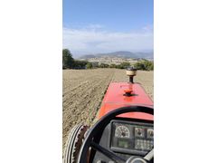 Sahibinden Massey Ferguson 266 Gold